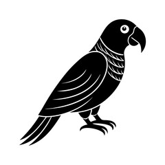  Parrot Silhouette Design