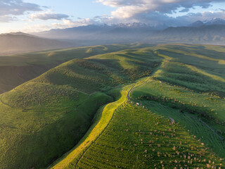 View of summer landcape with mountains and hills. Beautiful clouds on the sky. Dirt road on a...