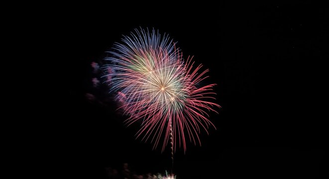 fireworks in the night sky