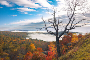 Shenandoah National Park - Virginia, United States