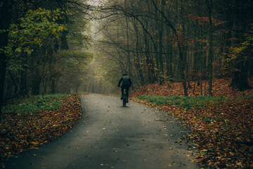 A cyclist rides along a narrow road in an autumn forest