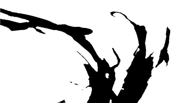 vector brush blot texture