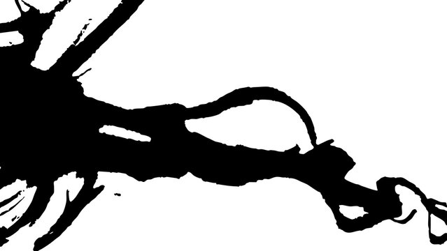 vector brush blot texture