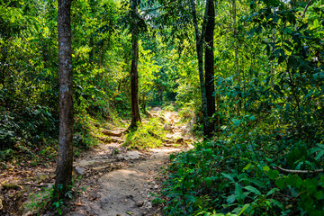 山道(ジブリ感)
