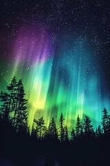 aurora borealis in the forest