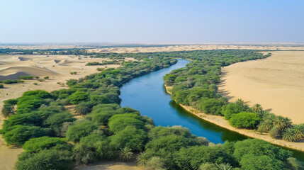Obraz premium Aerial view of river oasis surrounded by desert dunes.