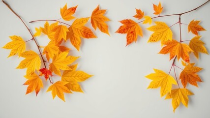 Fototapeta premium A delicate arrangement of vibrant yellow and orange autumn leaves against a white backdrop, showcasing the beauty of nature's seasonal transformation.