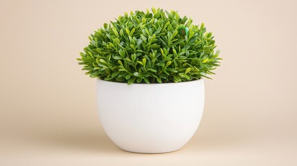 Lush Green Artificial Plant in a Modern White Pot