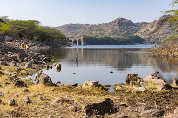 Fototapeta premium pristine lake calm water with mountain background at day from different angle