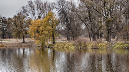 Autumn landscape with bright colors of leaves