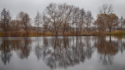 Autumn landscape with bright colors of leaves