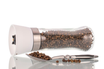 Black peppercorns in a glass grinder, macro, isolated on a white background.