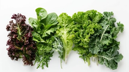 Naklejka premium A vibrant array of fresh greens, including red leaf lettuce, spinach, and kale, arranged neatly on a white background.