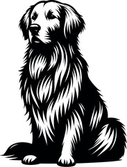 Golden Retriever Silhouette - Black Vector Cricut Design for T-Shirt Printing