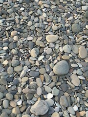 pebbles on the beach