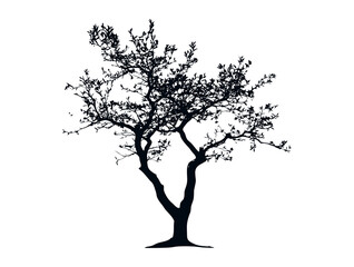 Blackthorn tree silhouette vector illustration