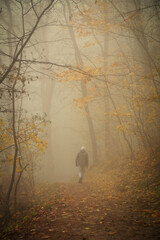 Teenager strolling through a dreamy autumn forest shrouded in soft mist, with golden leaves carpeting the ground and an air of mystery surrounding the scene