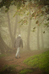 Teenager strolling through a dreamy autumn forest shrouded in soft mist, with golden leaves carpeting the ground and an air of mystery surrounding the scene