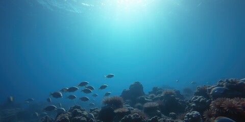 A school of fish swimming over a rocky reef, illuminated by the sun shining through the deep blue water