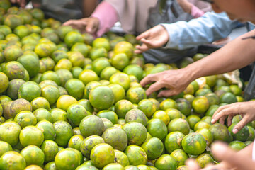 Stacks of freshly harvested Sweet Oranges are displayed at a traditional Indonesian market for sale