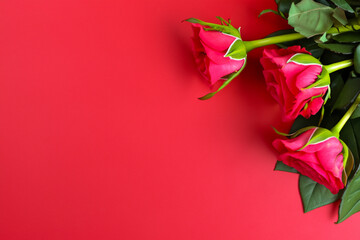 Red roses on a red background. Red roses in a bouquet with a red background. Bouquet roses red background flowers. Red roses in a bouquet lifestyle.