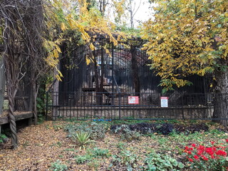 autumn in the park, zoo