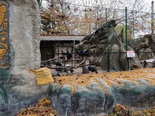 zoo