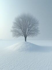Fototapeta premium Solitary Tree in Winter Snow Landscape