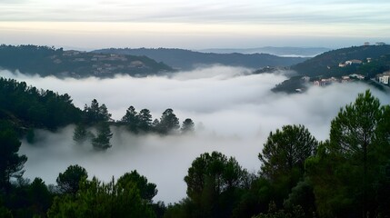 Fototapeta premium Fog blankets a serene valley, creating a mystical atmosphere in the morning light.