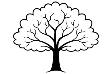 Oak Tree vector design white background