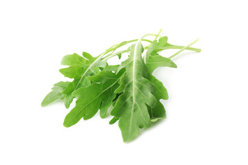 Many fresh arugula leaves on white background