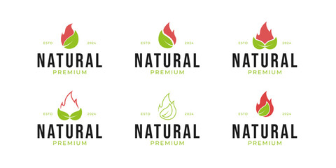 Set of leaf with fire flame logo design concept vector template illustration