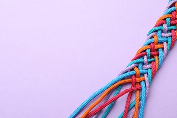 Braided colorful ropes on violet background, space for text. Unity concept