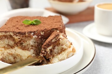 Delicious tiramisu with mint on light table, closeup