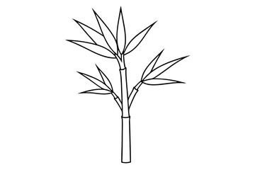 Bamboo vector design white background