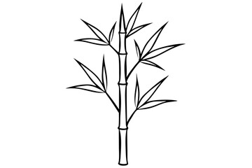 Bamboo vector design white background