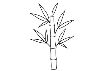 Bamboo vector design white background