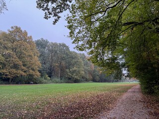 Fototapeta premium Beautiful view of pathway with fallen leaves in autumn park