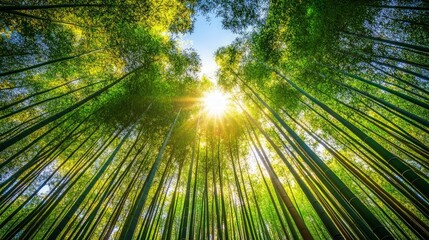 Lush Bamboo Serenity, a tranquil green bamboo forest enveloping viewers in a calming ambiance, perfect for relaxation areas or wellness retreats