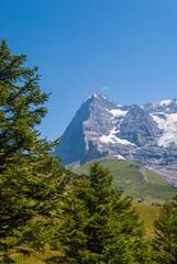 beautiful summer mountain landscape with views of Eiger peak. Bernese Oberland, Switzerland