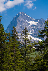 beautiful summer mountain landscape with views of Eiger peak. Bernese Oberland, Switzerland