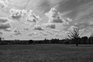 Beautiful skies across the New Forest in Hampshire