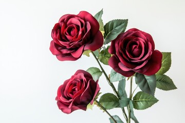 Fototapeta premium A bouquet of fully bloomed red roses with lush green leaves isolated on a white background