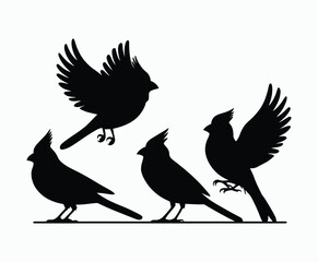 Fototapeta premium Artistic Unique Cardinals Silhouette EPS Vector Template