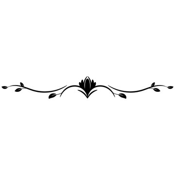 Vintage swirl decorative divider line. Flourish text separator with flowers and leaves