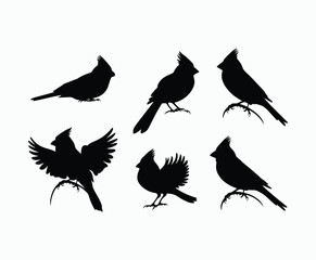 Fototapeta premium Cardinals Silhouette Collection Vector Template with Elegant Poses