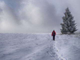 Winter