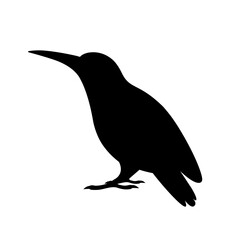 black raven silhouette