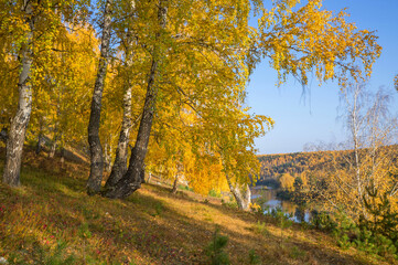 Bright autumn colors, a beautiful view from the cliff to the river valley. Walks in the open air.