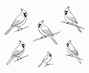 Fototapeta premium Minimalist Cardinal Outline Silhouette Set